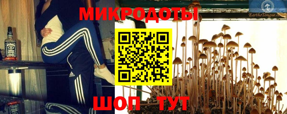Галлюциногенные грибы мухоморы  Вход с VPN  закладка  Галлюциногенные грибы MAGIC MUSHROOMS  Подольск 